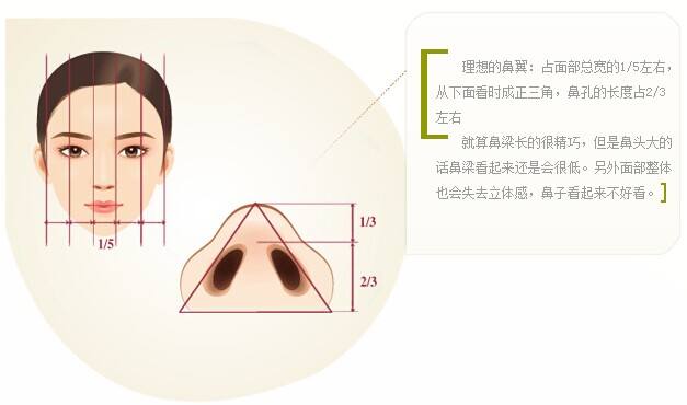 鼻翼縮小.jpg
